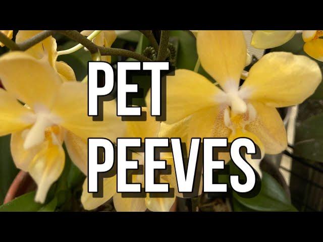 Biggest Pet Peeves W/ Orchid Vendors