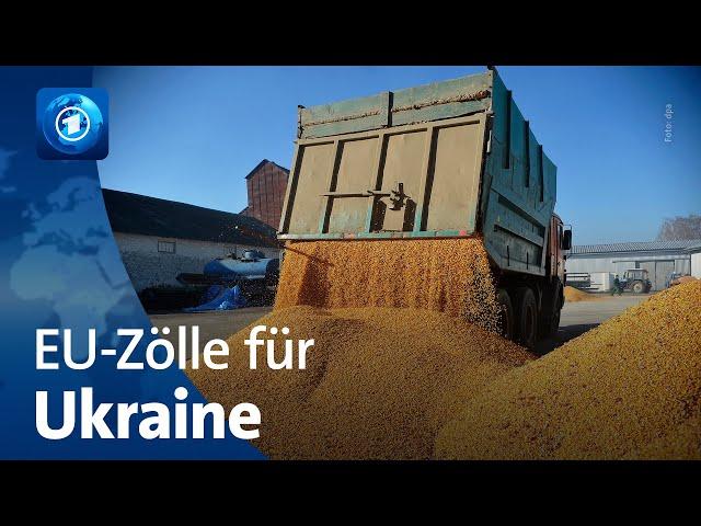 EU will wieder Zölle für ukrainische Agrarprodukte