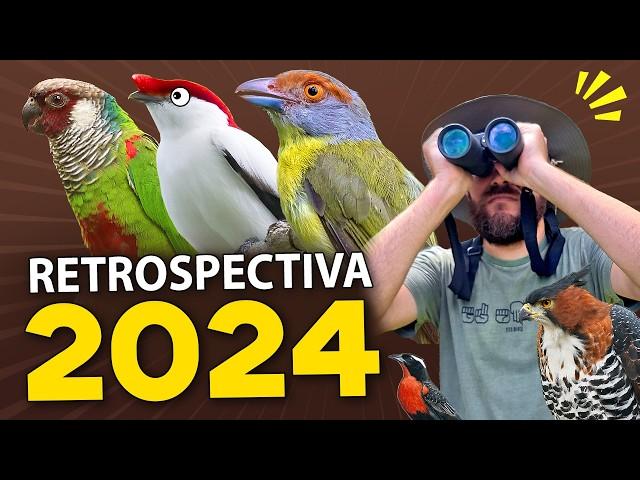 Passarinhadas, Expedições e muitas Aves Raras! RETROSPECTIVA 2024