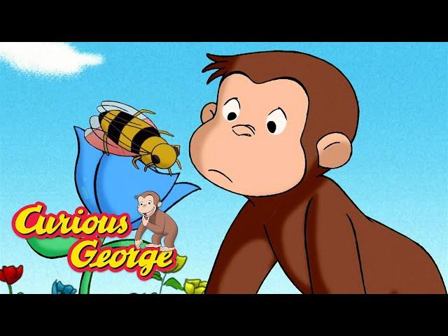 Where Does Honey Come From?  Curious George  Kids Cartoon  Kids Movies