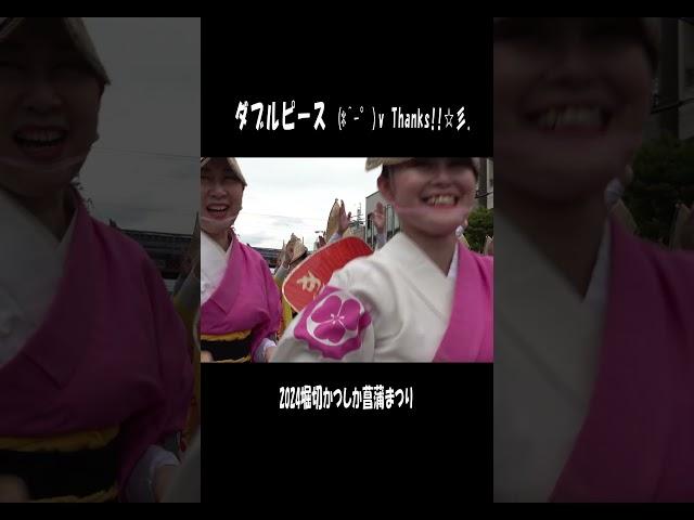 滅多に見られない美女集団！堀切かつしか菖蒲まつり（2024.6.9） #祭り #阿波踊り #癒やしの阿波踊り #阿波踊り動画第一人者 #阿波舞 #dance #shorts