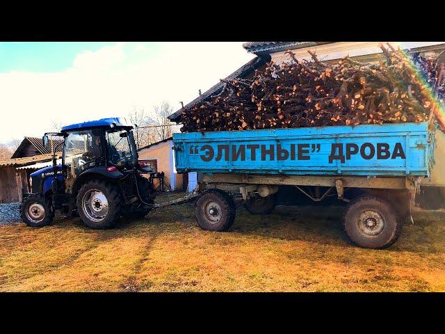 МАСШТАБНАЯ заготовка ДРОВ весной на ЗИМУ. ПОЧЕМУ дрова яблони ценные и сверхкачественные?