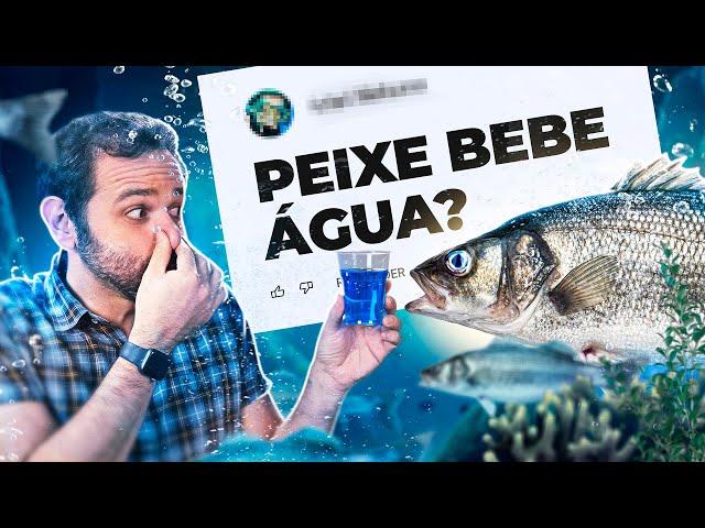 PEIXE TOMA ÁGUA? Iberê responde!