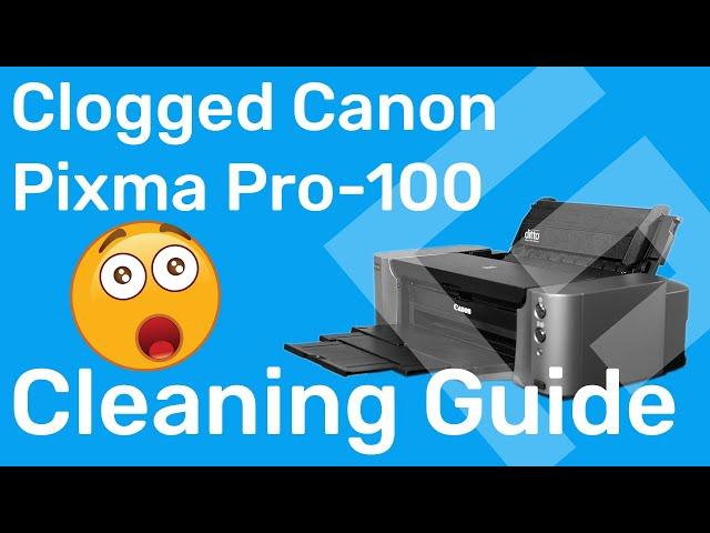 How to Clean a Severely Clogged Canon Print Head – Freehand Graphics™