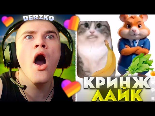 ДЕРЗКО СМОТРИТ - КРИНЖ ЛАЙК #34 | derzko69