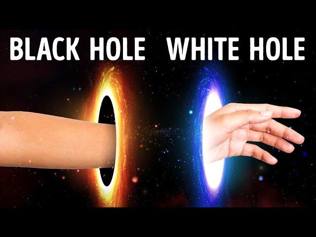 White Holes: Black Holes' Neglected Twins