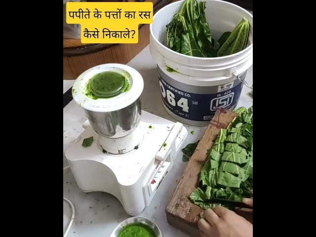 पपीता के पत्तों का रस कैसे निकाले, papite ke patton ka ras kaise nikale, Make juice of papaya leaves