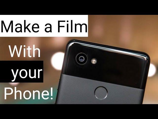 Pixel 2 camera: Make a Wildlife Film With Your Phone