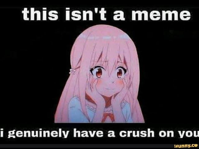 This isn't a meme. I genuinely have a crush on you.