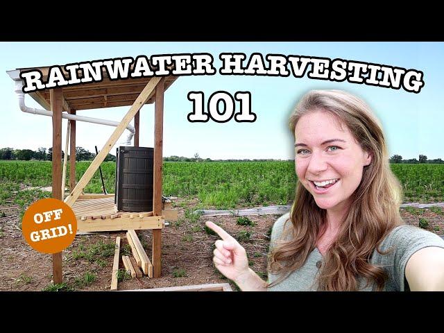 RAINWATER COLLECTION FOR BEGINNERS | 16 Things To Know About Harvesting Rain Water BEFORE You Start