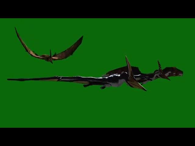 3 dinosaurs green screen