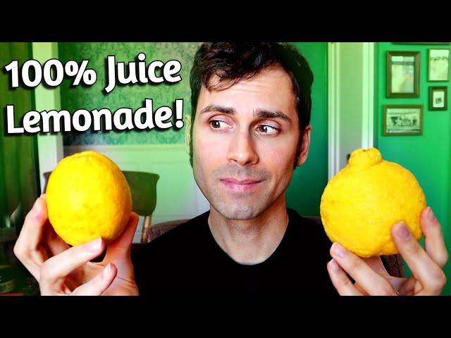 This Rare Fruit Tastes like LEMONADE (No water or sugar needed!)