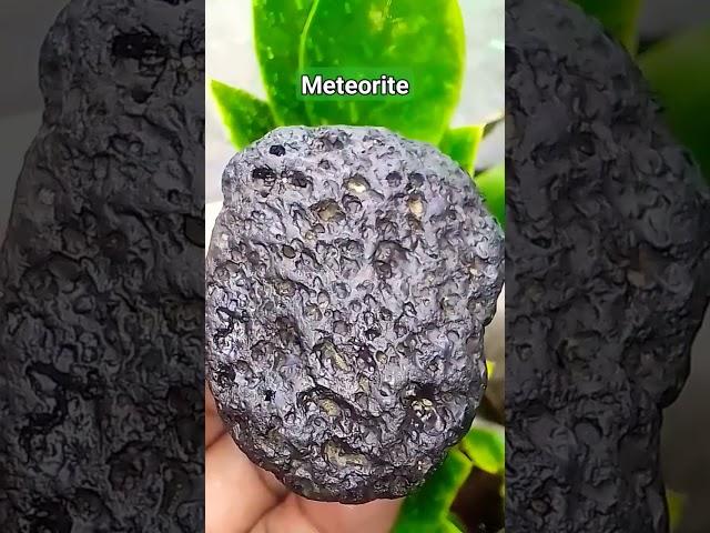 Super Black tektites minerals magnetic meteorite stone found in garden  