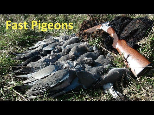 Shooting Fast Pigeons