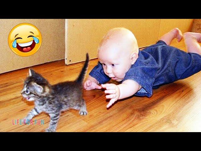 Cute and Funny Baby Cat Videos Compilation / Funny Baby Playing With Cats