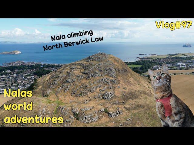 Nala climbing NORTH BERWICK LAW ️ Vlog #97