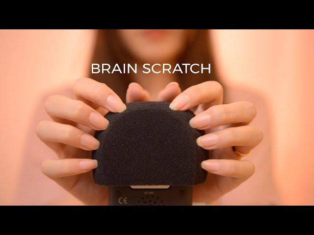 ASMR Thorough Brain Scratch to Make You Sleepy (No Talking)