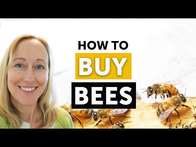 BEEKEEPING 101: HOW TO BUY BEES