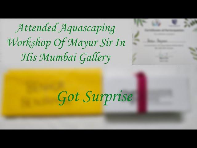 Surprising Aquascaping Workshop Gifts From Mayur Sir | Unboxing Thoughtful Gifts and Goodies