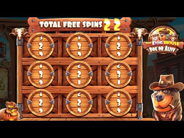 BIG WINS ON THE DOG HOUSE DOG OR ALIVE SLOT