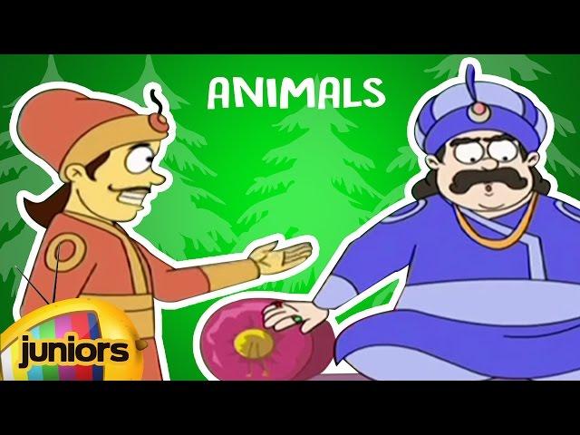 Akbar And Birbal Animated Stories In English For Kids | Animals | Mango Juniors