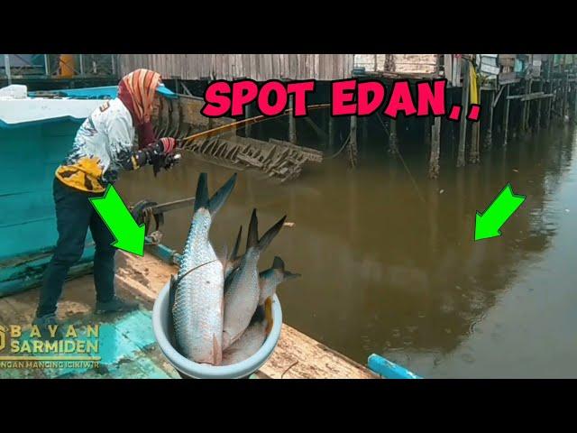 EDAN,,‼️ TERMOS IKAN SAMPAI GAK MUAT || SPOT MUARA SELILI MANGGAR BALIKPAPAN