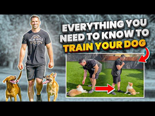 Everything You NEED To KNOW To TRAIN Your DOG!