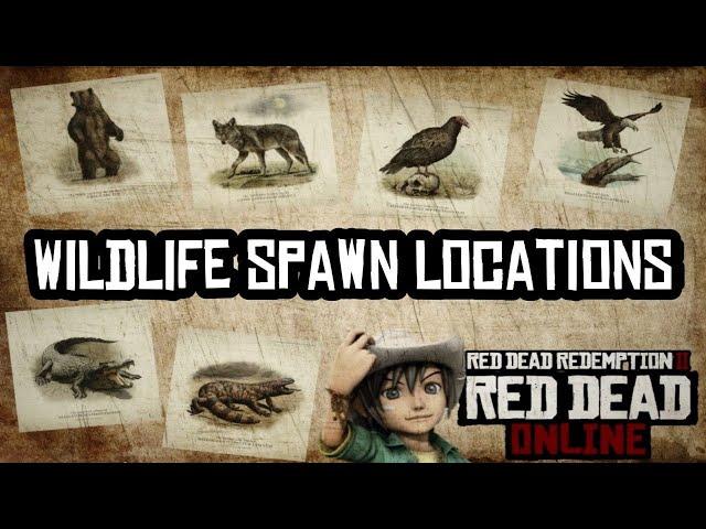 RDR2 Online - Banded Gila Monster locations for Daily Challenge