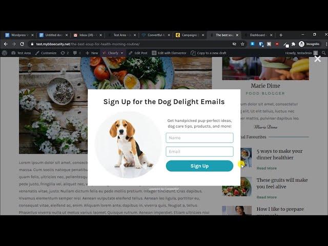 How to add email subscription opt-in form to wordpress using mailchimp free