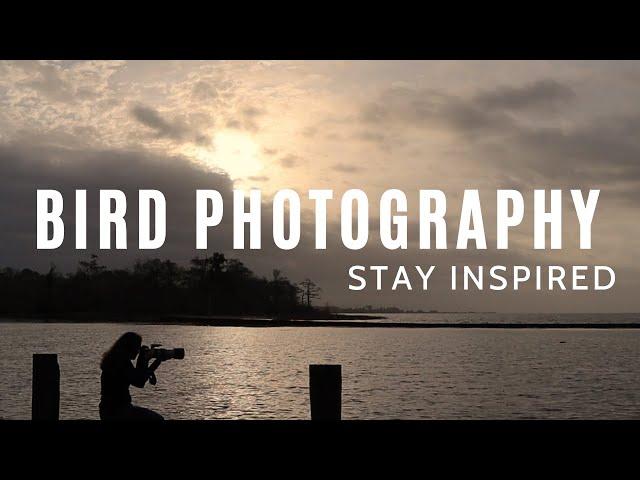 BIRD PHOTOGRAPHY | Stay Inspired by Showing Up