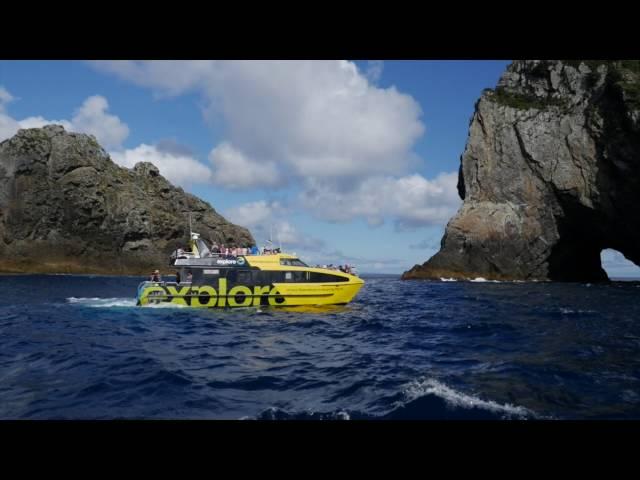 Discover the Bay of Islands Hole in the Rock Cruise