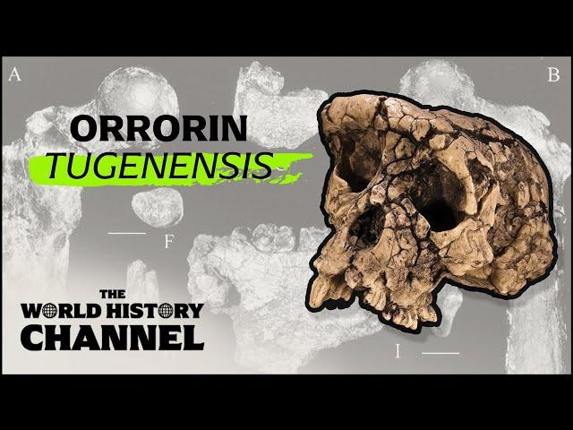 The Oldest Human Remains Ever Discovered | Search For The First Human | The World History Channel