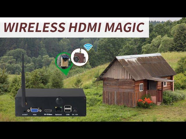 HDMI Converter for Bird Box Cameras - Enhance Your Birdwatching Experience