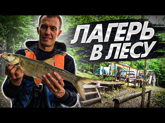 Camp in the forest on the river bank | Fishing with overnight stay