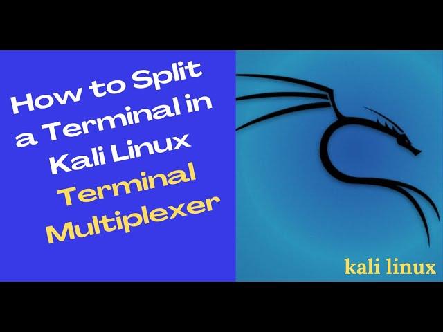 Kali Linux Terminal Multiplexer | How to Split a Terminal