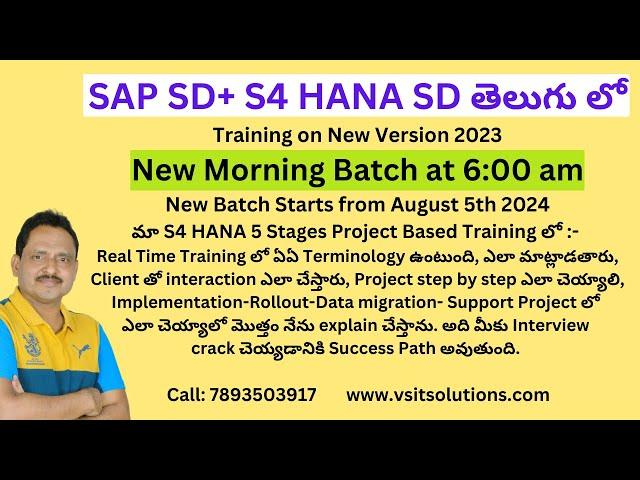 SAP S4 HANA SD Training on 2023 Version  | Best SAP SD Training | SAP SD in Telugu | Veera BS