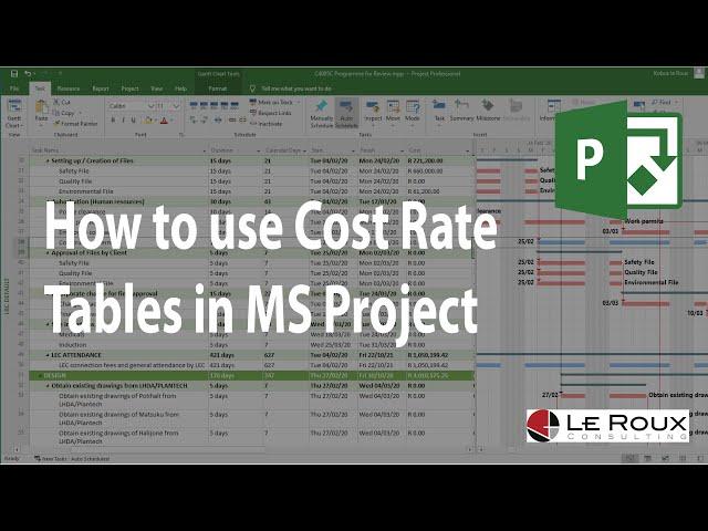 How to use Cost Rate Tables in MS Project