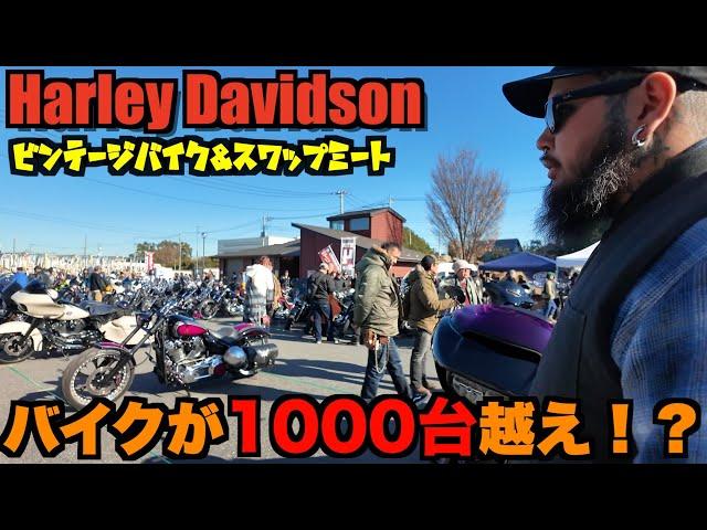 【ハーレー】あの有名人も！？ 大集合！関東のバイクミーティングがやばすぎた！ Harley Davidson