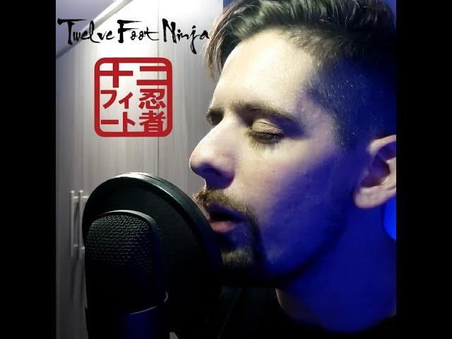 Twelve Foot Ninja - Kingdom [Acoustic cover]