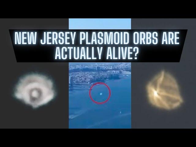 End Times Signs? Plasmoid Orbs Seen In Skies EVERYWHERE! | DR Update