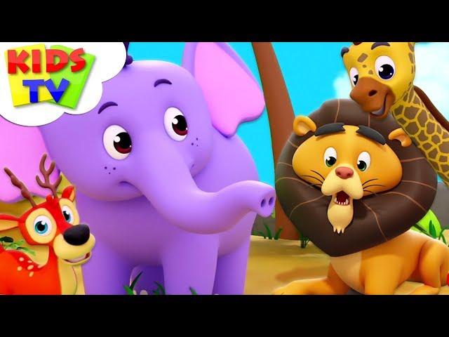 Zoo Song | Super Supremes Cartoons | Kindergarten Nursery Rhymes For Toddlers | Kids Videos