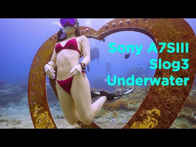 Sony A7S3 Underwater Slog3 Test Ambient Light + STC Filter