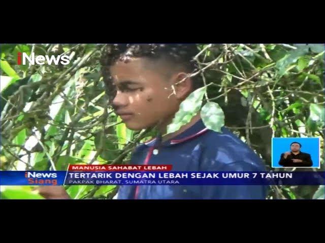 Pelajar di Pakpak Bharat, Sumut, Bisa Berkomunikasi dengan Lebah - iNews Siang 27/11