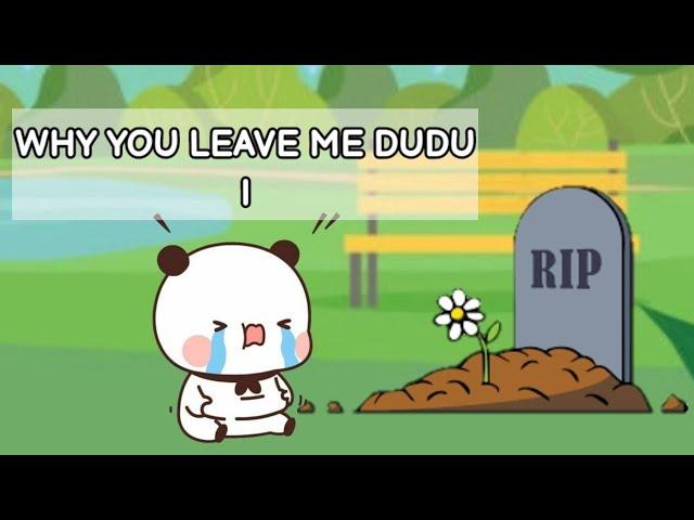 Dudu's funeral | what happened with dudu | #bubu#dudu#bubududu#cutecouple#love