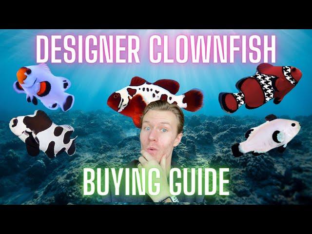 Designer Clownfish - The Guide to Getting the Coolest Clowns for Your Tank!