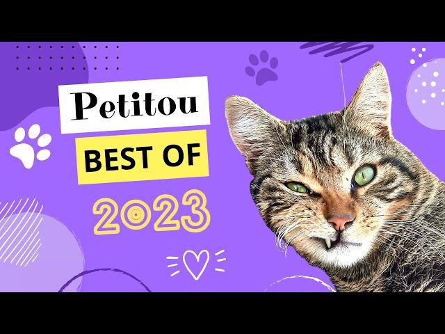 Petitou Best OUF 2023