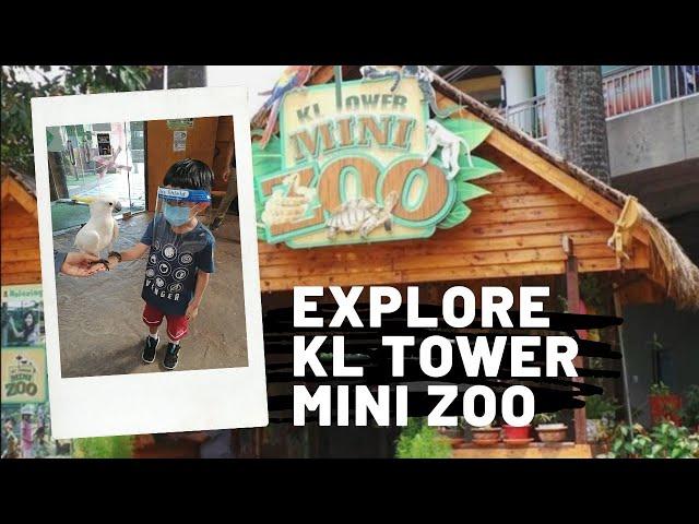 Amazing Ways to Enjoy Your Visit in KL Tower Mini Zoo During a Pandemic