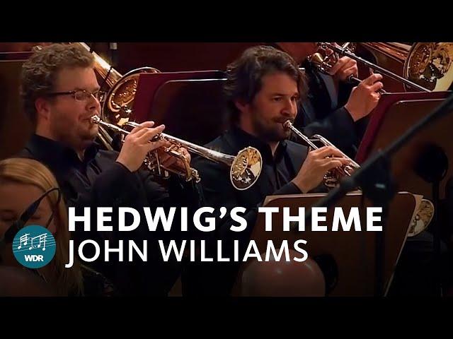 John Williams - Hedwig's Theme (Harry Potter) | Funkhausorchester 