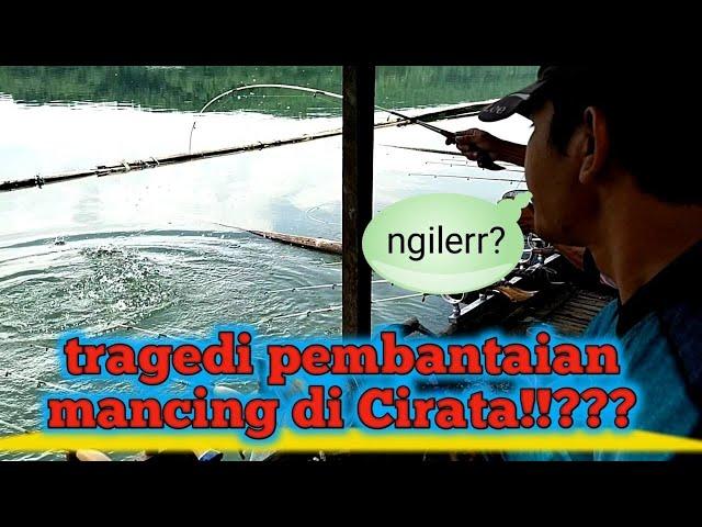 Mancing Cirata terbaru//strike ikan² Babon semua luar biasa bikin ngiler,,,,spot cigandu