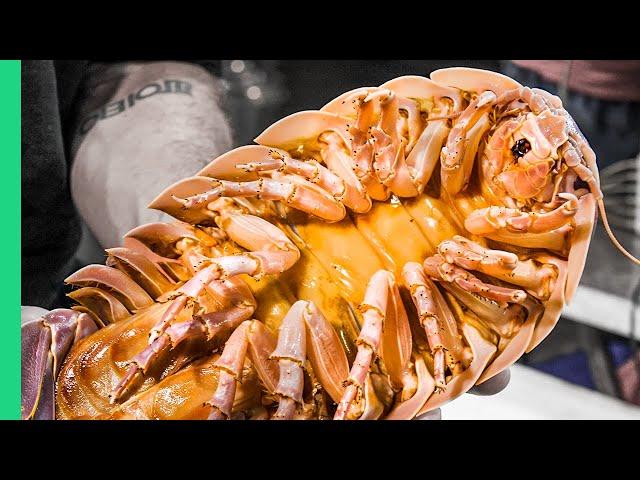 Vietnam's Seafood NIGHTMARE!!! Extreme Food Tour in Saigon!!